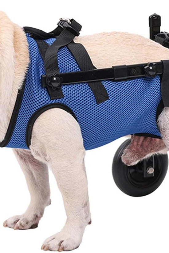 Loyal Stride Cart – Dog Wheelchair for Small to Medium Dogs