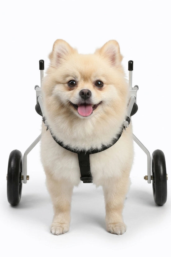 Nano Stride - Hind-Leg Wheelchair for Toy & Small Dogs