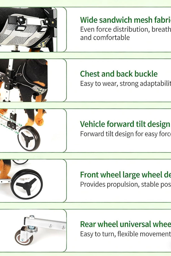FrontRise Mini - Four-Wheel Front-Leg Wheelchair for Small Dogs