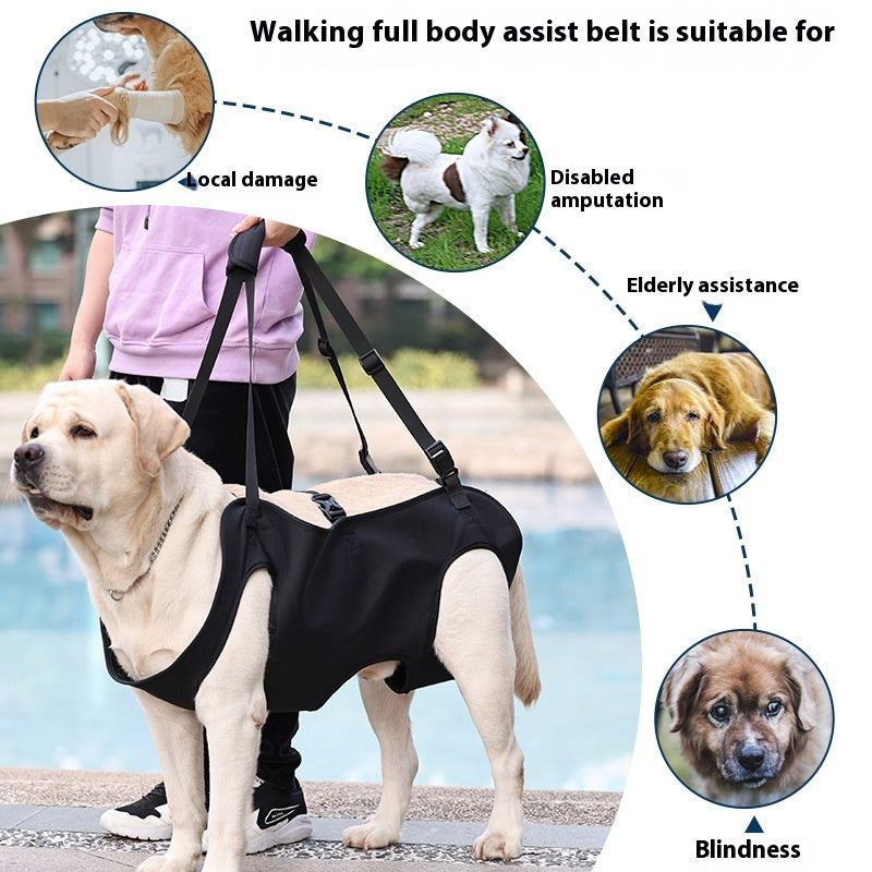 Dog mobility support harness flat lay showing all components