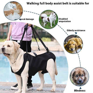 Dog Mobility Support Harness showing all components