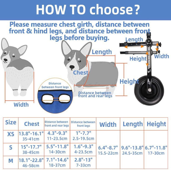 Loyal Stride Cart – Dog Wheelchair for Small to Medium Dogs