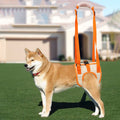 ZENDROP #4- Adjustable Dog Lift Harness for Weak Hind Legs Support