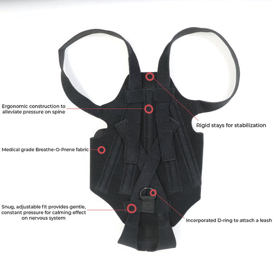 Therapeutic back support harness for IVDD recovery with labeled features on a white background