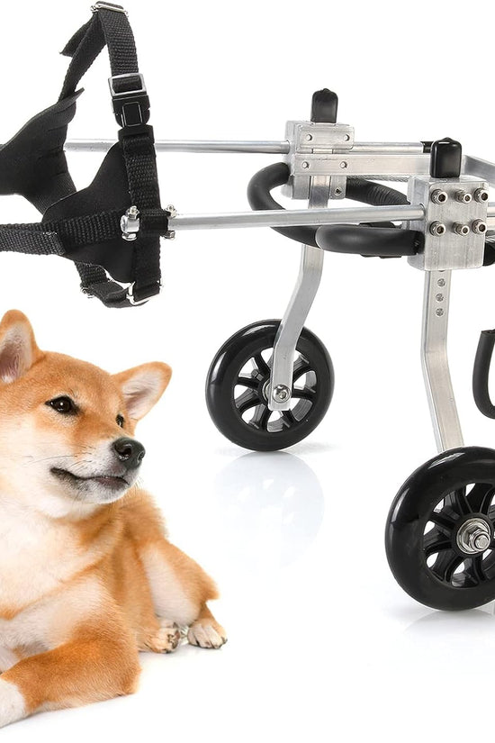 Canine Mobility Pro wheelchair adjustable frame for dogs with hind leg weakness