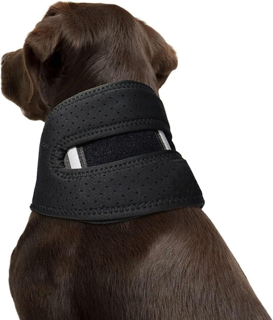 Dog Neck Brace Supports Cervical Recover