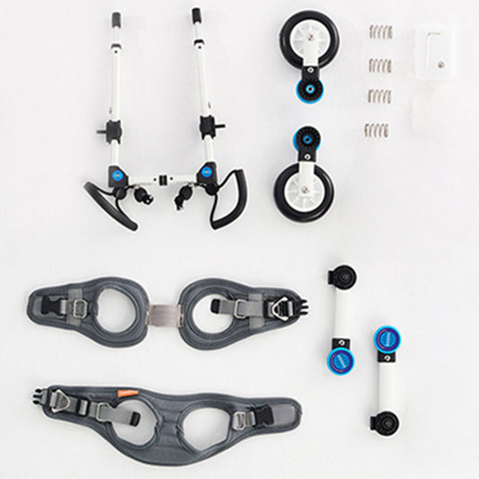 Cat-assisted Teddy Pet Dog Hind Leg Brace