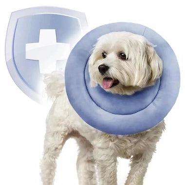 Dog wearing a blue Soft Recovery Cone Collar on a white background