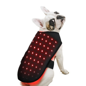 Dog wearing a Wireless Infrared Therapy Vest on a white background
