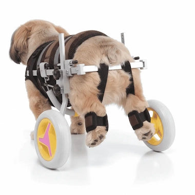 Freedom Walker Dog Wheelchair back view showing adjustable width and length