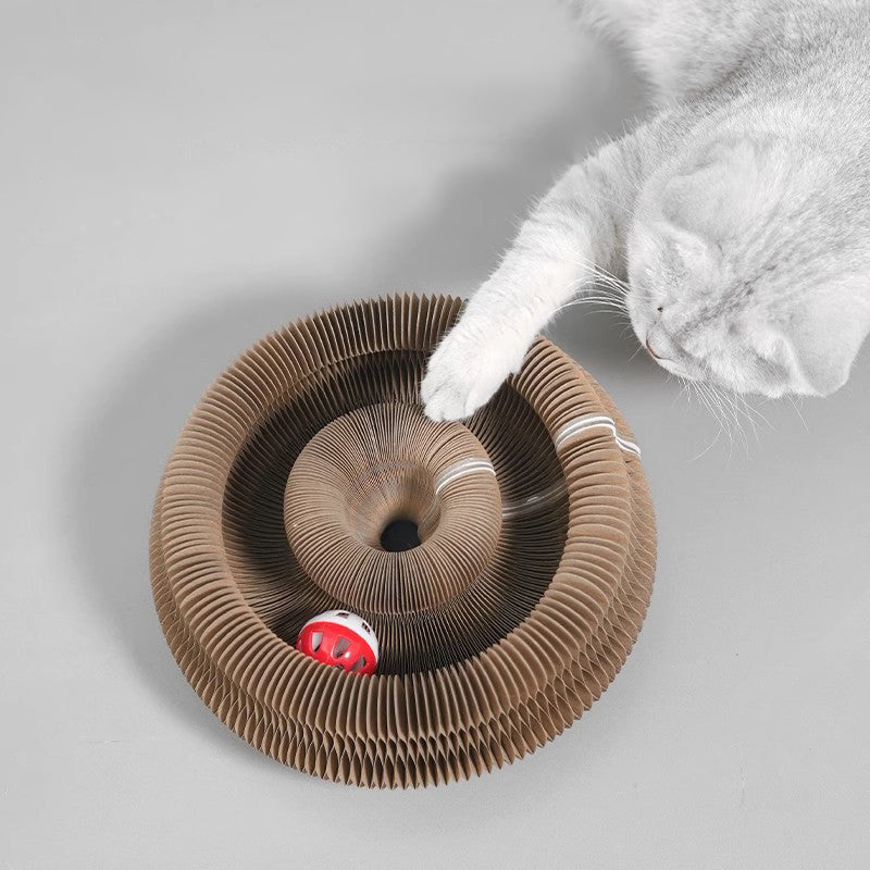 Cat playing with a Cat Accordion Scratcher Toy on a gray background