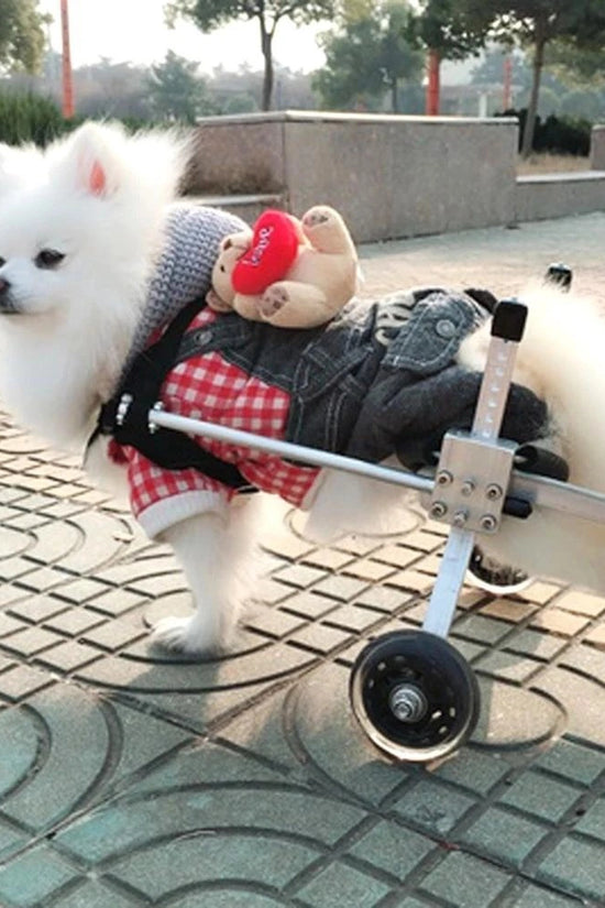 Nano Stride Cart – Hind-Leg Wheelchair for Small Dogs