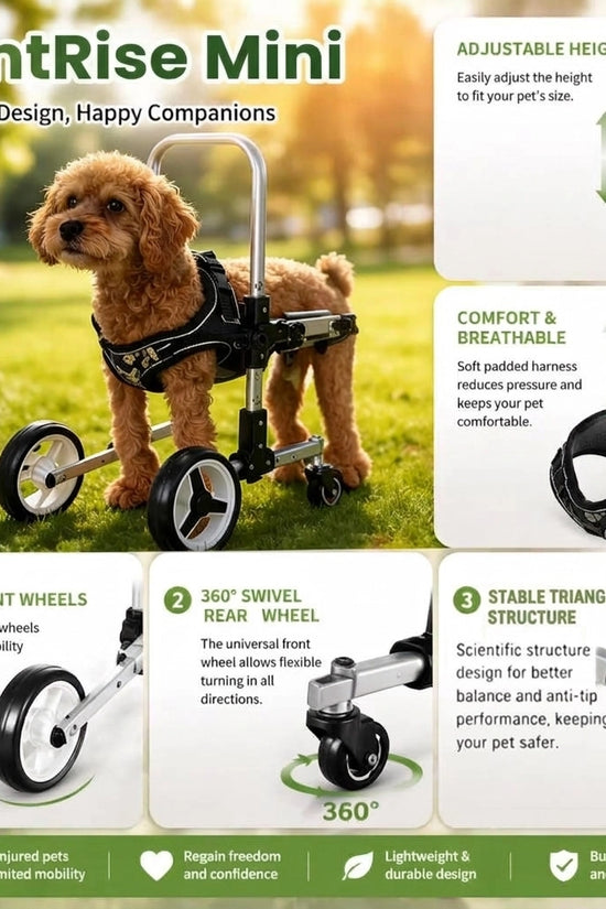 FrontRise Mini - Four-Wheel Front-Leg Wheelchair for Small Dogs