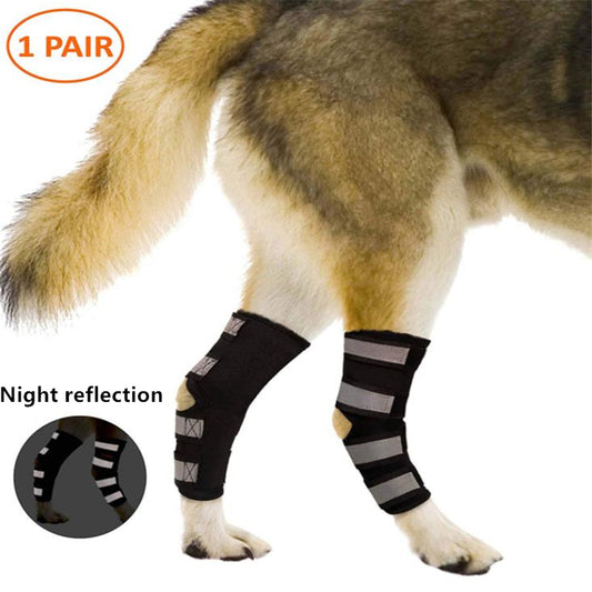 Dog Knee Pads New Luminous