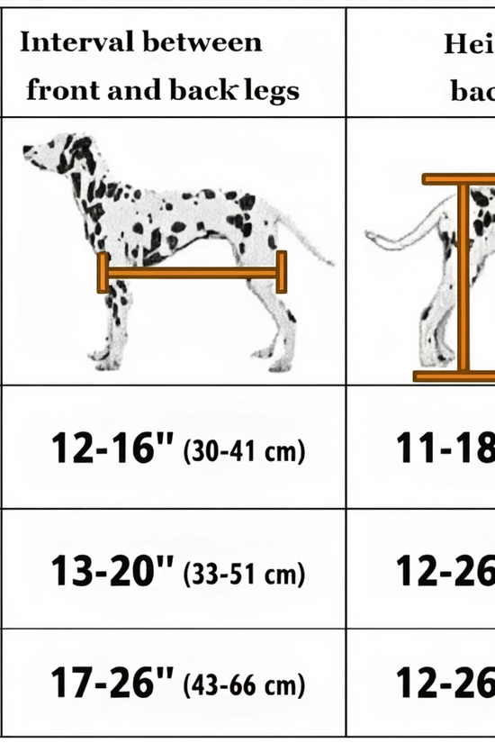 Dog wheelchair size guide: L, XL, XXL measurements in inches and centimeters for large breed dogs