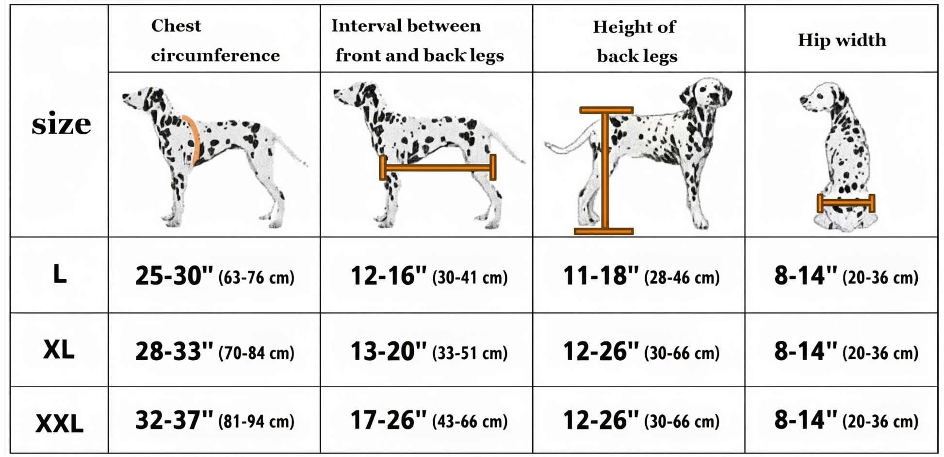 Dog wheelchair size guide: L, XL, XXL measurements in inches and centimeters for large breed dogs