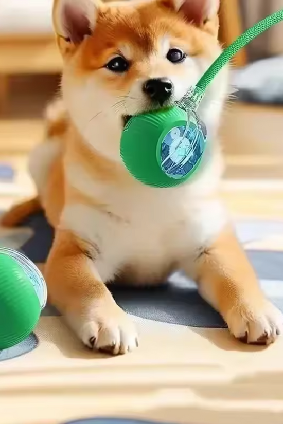 Dog playing with a Auto-Roll Interactive Pet Ball - Touch-Activated Smart Toy for Cats and Dogs on a wooden floor.