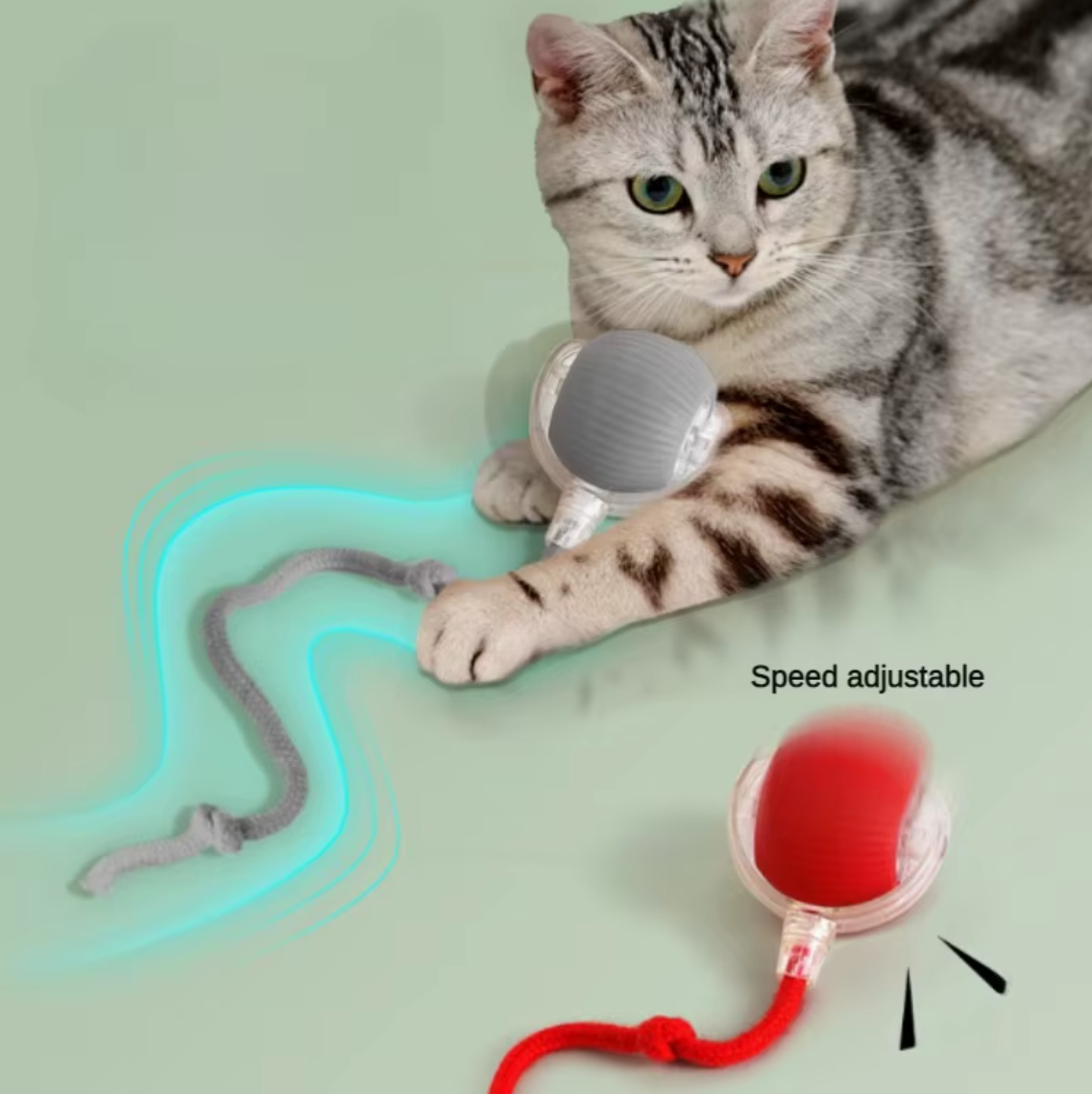Cat playing with a Auto-Roll Interactive Pet Ball that resembles a mouse, on a light green background.