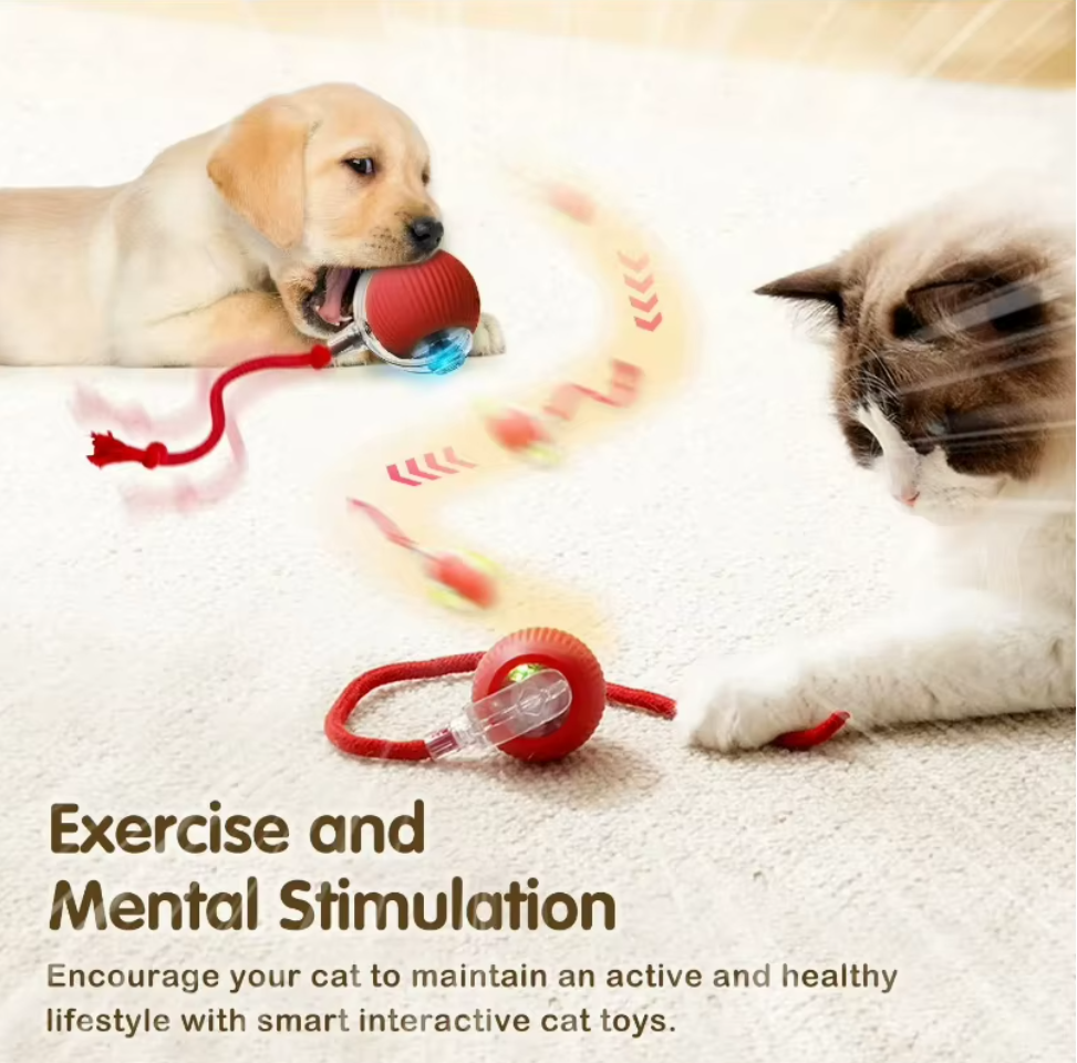 Dog and cat playing with an Auto-Roll Interactive Pet Ball on a light background