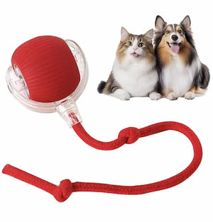 Auto-Roll Interactive Pet Ball