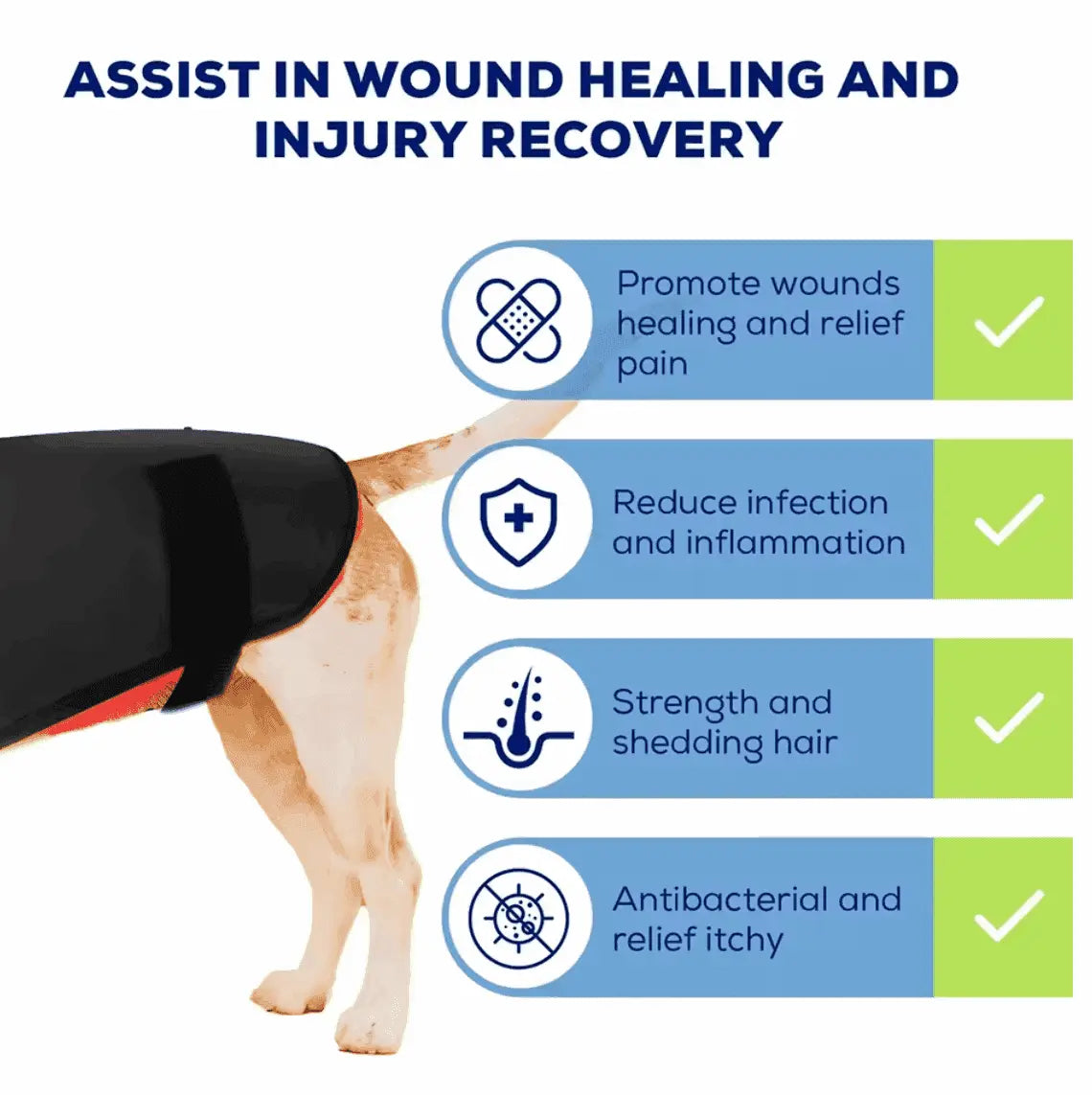Dog wearing an Infrared therapy vest for medium dogs with text on wound healing and injury recovery benefits.