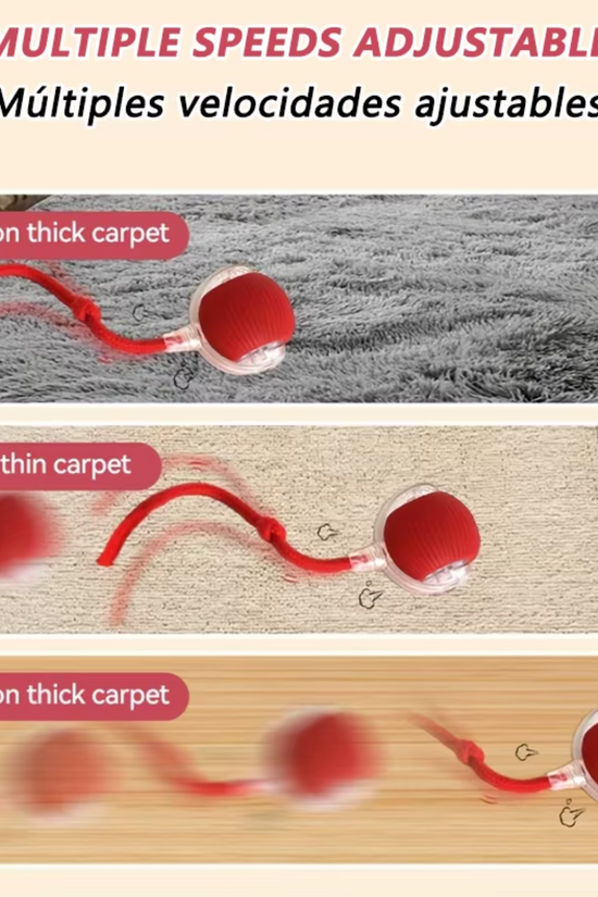 Multiple speed settings of the Auto-Roll Interactive Pet Ball on different types of carpet.