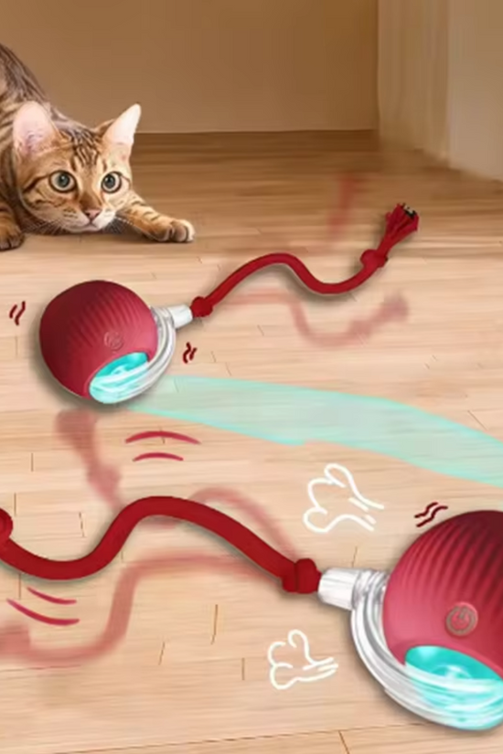 Cat playing with a Auto-Roll Interactive Pet Ball - Touch-Activated Smart Toy for Cats and Dogs on a wooden floor.