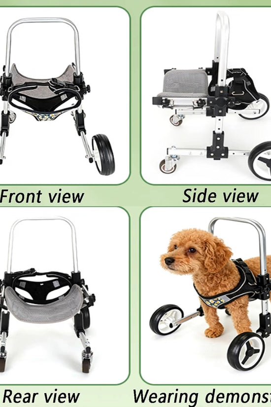 FrontRise Mini - Four-Wheel Front-Leg Wheelchair for Small Dogs
