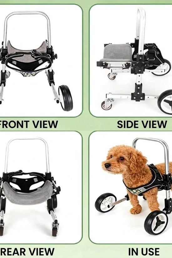 FrontRise Mini - Four-Wheel Front-Leg Wheelchair for Small Dogs