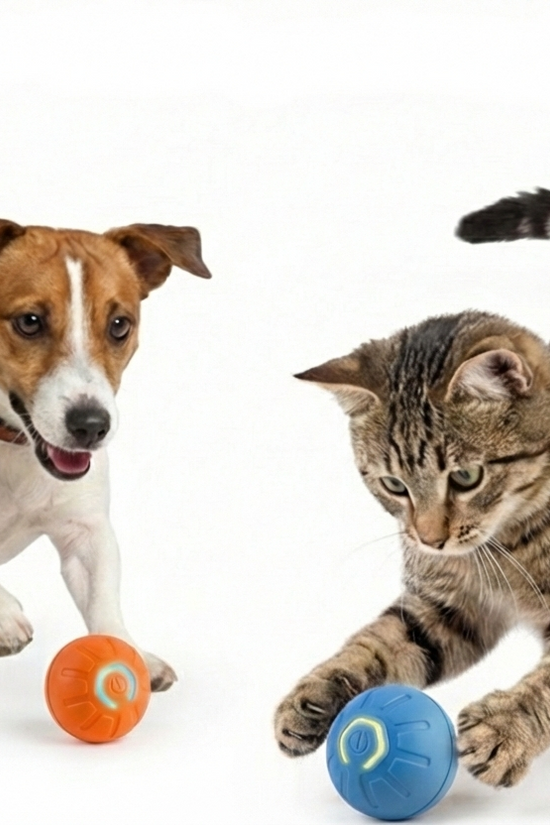 Smart Interactive Pet Ball