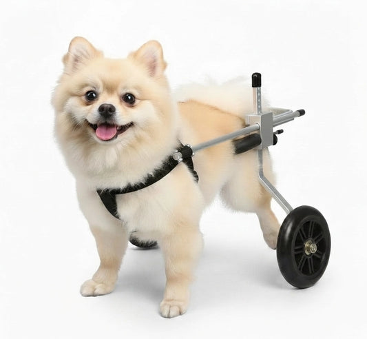 Nano Stride Cart – Hind-Leg Wheelchair for Small Dogs