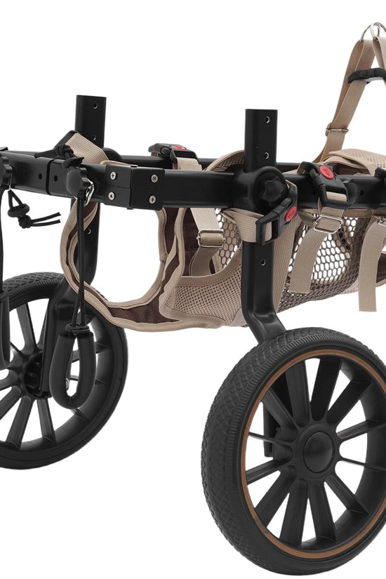 Rehabilitation dog wheelchair side view showing aluminum frame and mesh harness