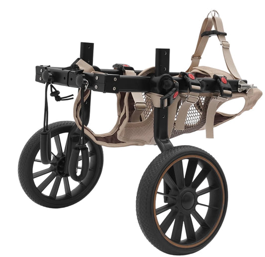 Rehabilitation dog wheelchair side view showing aluminum frame and mesh harness