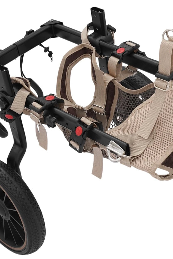 Rehabilitation dog wheelchair front view showing open-crotch mesh cradle design