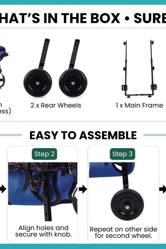 Alt Text: What's in the box – SureStep: dog wheelchair frame, 2 rubber wheels, 1 assembly manual, and support straps