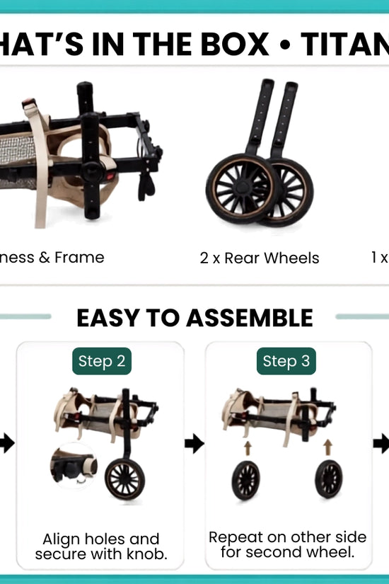 What's in the box – Titan Max dog wheelchair: main harness frame, 2 rear wheels, and assembly manual