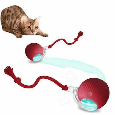 Red Auto-Roll Interactive Pet Ball with a cat looking at it on a white background