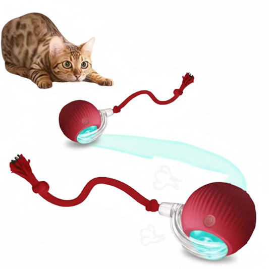 Auto-Roll Interactive Pet Ball - Version 1