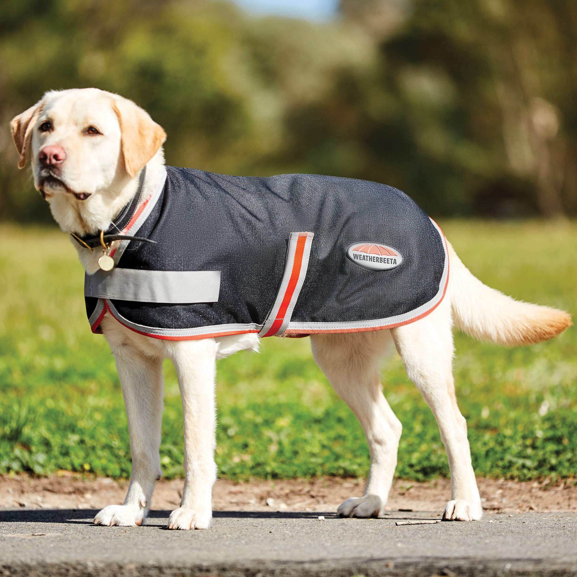 WeatherBeeta ComFiTec 1200D Therapy-Tec Dog Coat Black/Silver/Red 18"