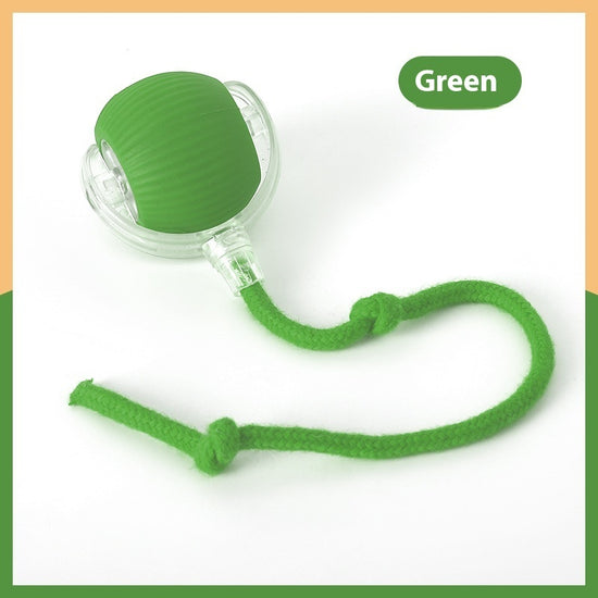 Green Auto-Roll Interactive Pet Ball on a white background