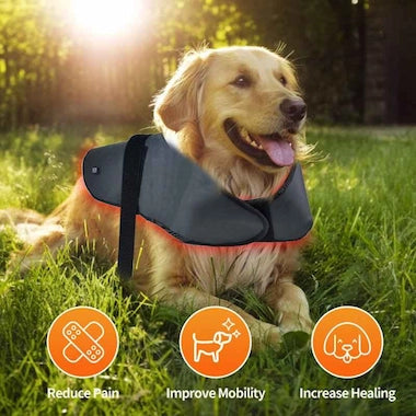 Happy golden retriever wearing an Infrared Therapy Vest - Large for dogs, sitting on grass with sunlight and health benefit icons