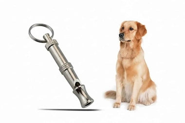Ultrasonic Dog Training Whistle next to a sitting dog on a white background