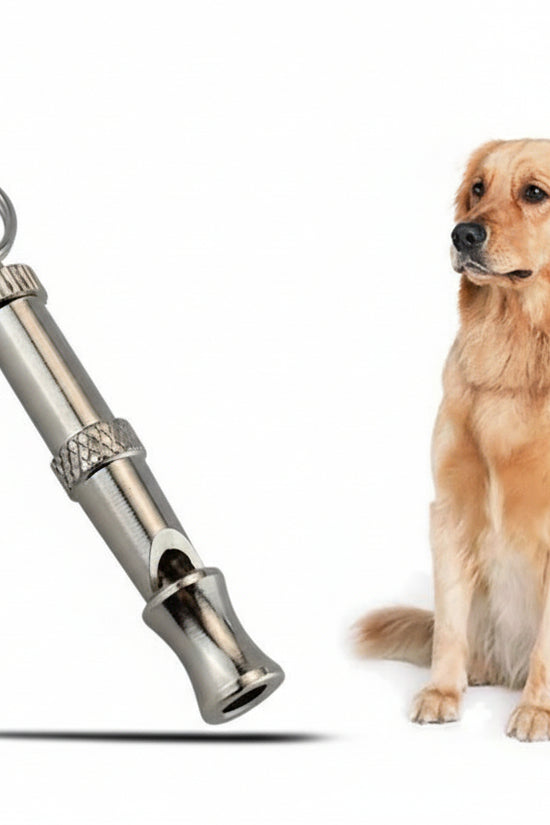 Ultrasonic Dog Training Whistle next to a sitting dog on a white background