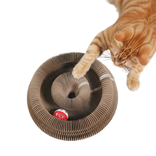 Cat Accordion Scratcher - Orange Tabby