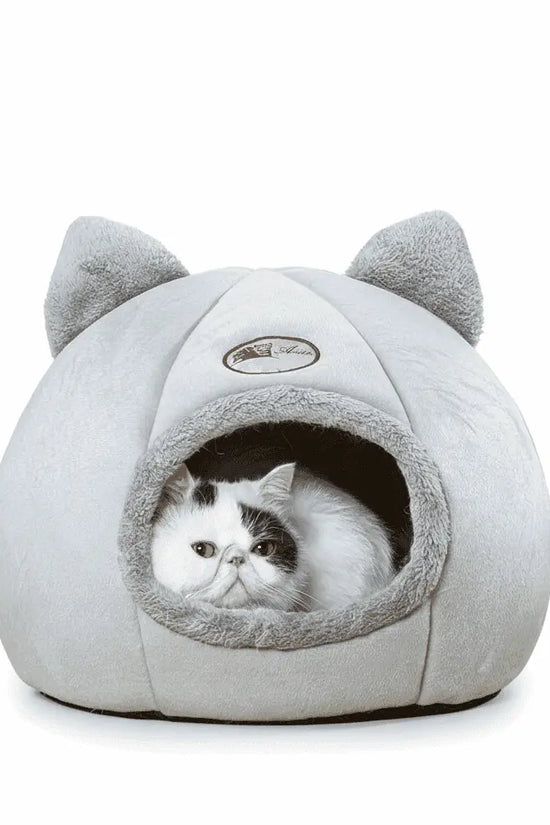 Cat Cave Bed with Bicolor Cat - White Background
