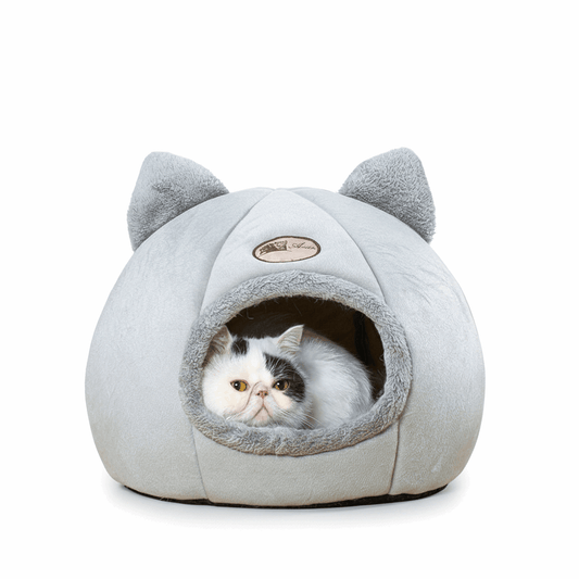 Cat Cave Bed with Bicolor Cat - White Background