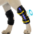 ZD#-Dog Rear Leg Support Strap