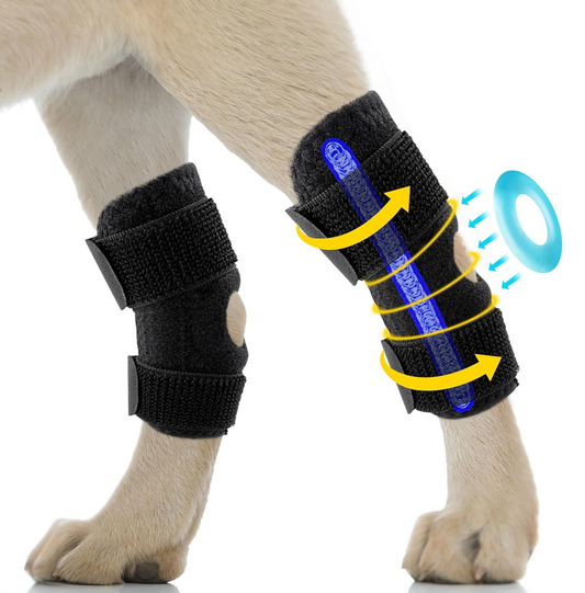ZD# ? -Dog Rear Leg Support Strap
