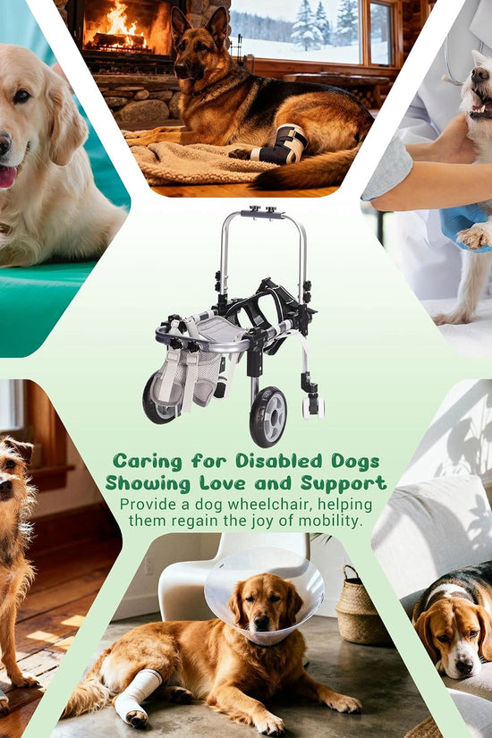 FrontRise Mini - Four-Wheel Front-Leg Wheelchair for Small Dogs