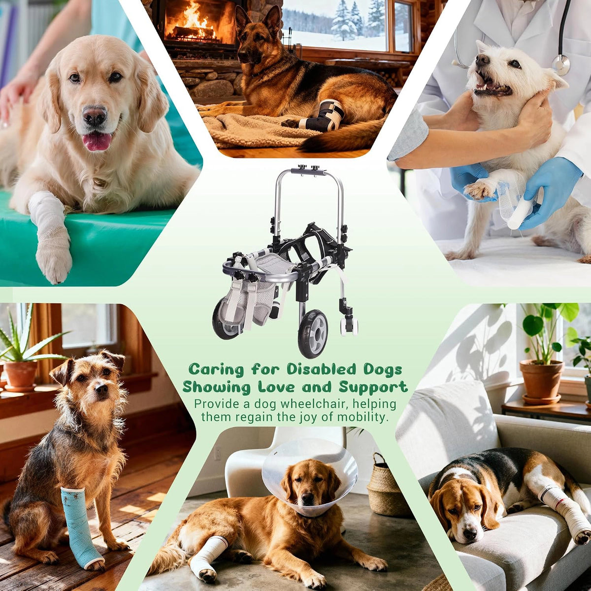 FrontRise Mini - Four-Wheel Front-Leg Wheelchair for Small Dogs